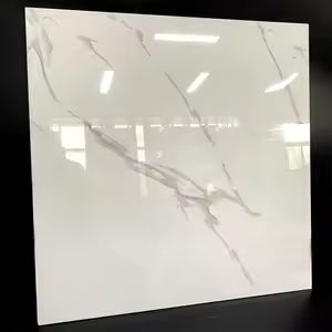 60x60 creamic Tiles White Made in India